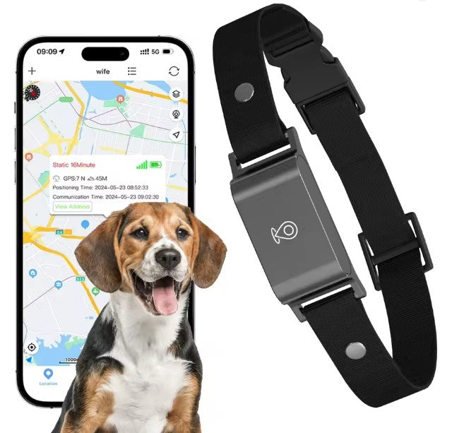 Mini 4G GPS Collare con localizzatore di animali domestici impermeabile