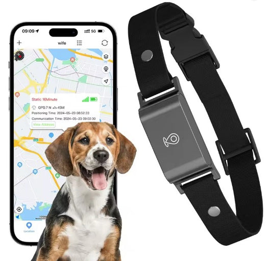 Mini 4G GPS Collare con localizzatore di animali domestici impermeabile